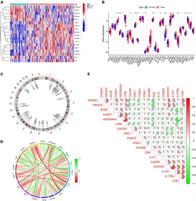 Identification of immunogenic cell death-related gene classification patterns and immune infiltration characterization in ischemic stroke based on machine learning